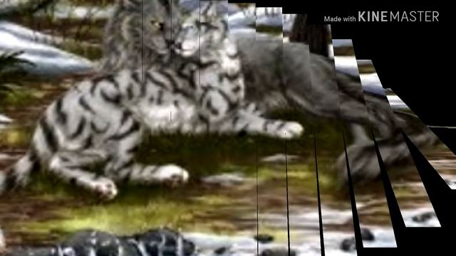 |коты воители| Крутобок и Серебрянка "с тобой" смотреть онлайн