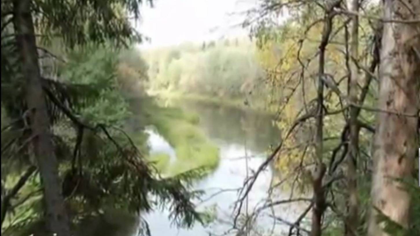 Лес за рекой - The forest beyond the river -relax- смотреть онлайн