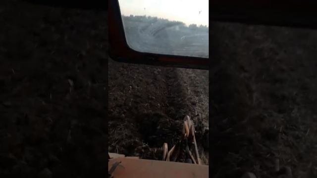 MTZ 80 & Leopard II duboko oranje смотреть онлайн