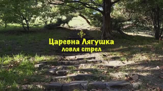 ловля стрел