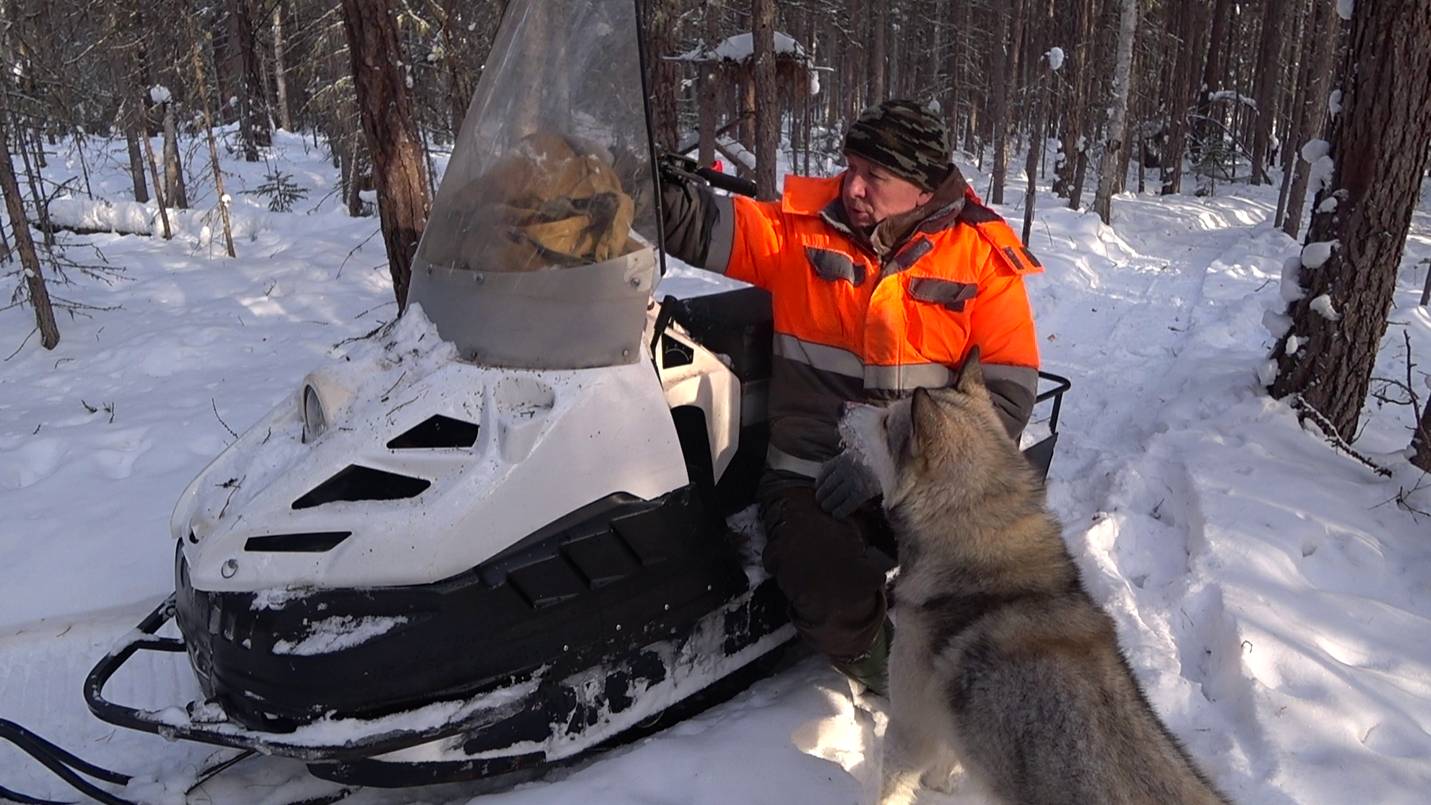 УРАГАН ПРОВЕРЯЕТ ПУТИКИ. ВДВОЁМ ПОДНОВИЛИ ПРИМАНКУ. смотреть онлайн