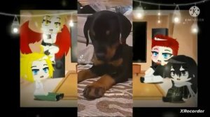 mha react to deku's pets