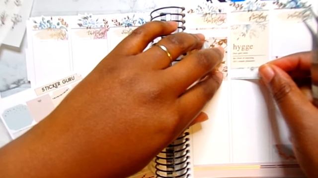 Plan With Me ft Sticker Guru, Sadies Stickers, Paper Trail Plans and more смотреть онлайн