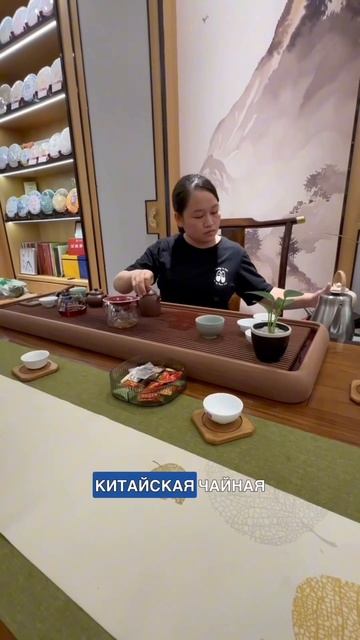 Китайский чай! Чайный рынок в Гуанчжоу!🇨🇳 смотреть онлайн