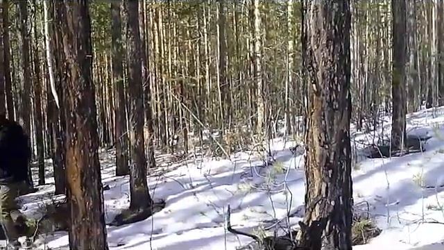 Игра на выживание 2 (2 серия) смотреть онлайн