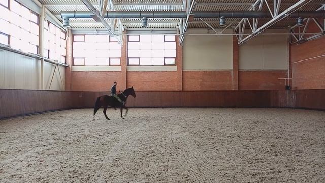 kordeo balance, spanish walk, kordeo piaffe, pesada смотреть онлайн