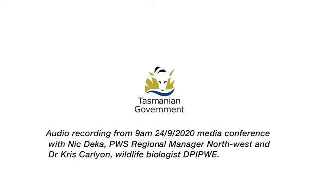 Audio recording from 9am 24/9/2020 media conference with Nic Deka, PWS Dr Kris Carlyon, DPIPWE. смотреть онлайн