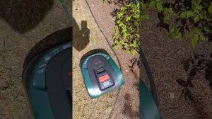 Робот газонокосилка Bosch Indego M700. Установка.