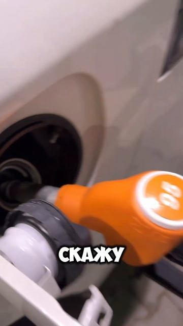 Prado не идеален ☝️ #транзитавто #автоподзаказ #автоизяпонии #LandCruiser #Prado #LandCruiserPrado смотреть онлайн