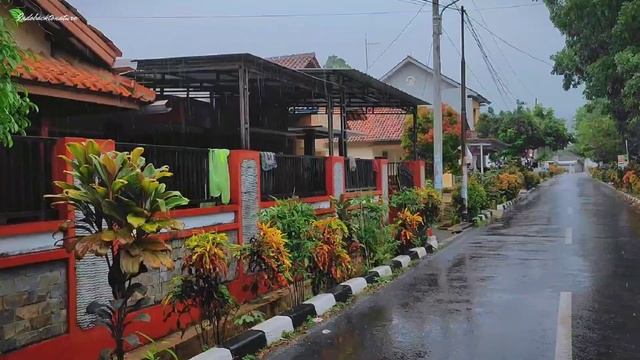 Walking under rain and thunder in Indonesian village || Stress relief || ASMR insomnia смотреть онлайн