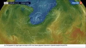 Екатерина Григорова 02.06.2023 12-35