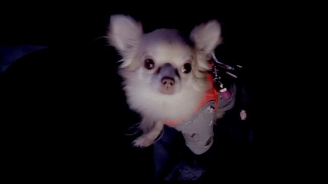 Vlogmas 2021 I 1 December I Naughty&Nice I Julegatåpning I Vlog I Freda-Jamilla Johansen смотреть онлайн