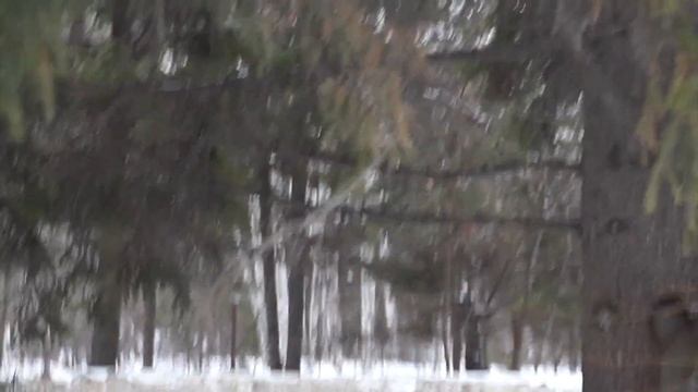 Омские белочки смотреть онлайн