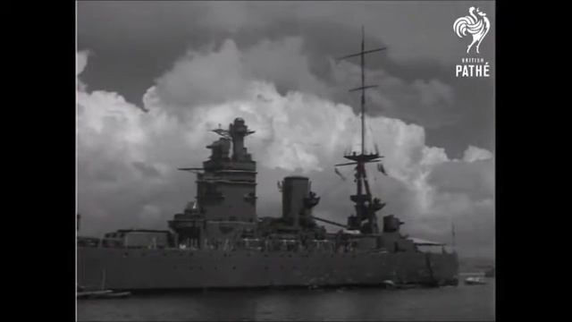 rod-nee смотреть онлайн