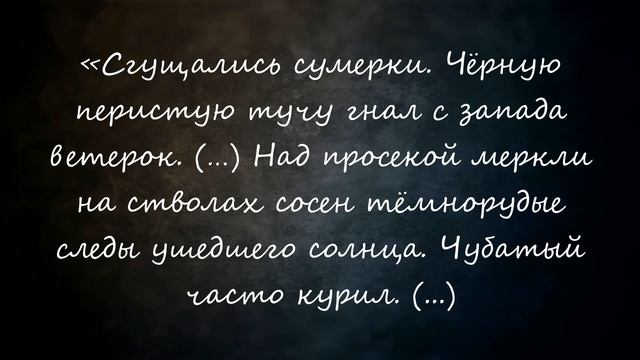 «Тихий Дон» / Подробный пересказ / Книга 1. Часть 3. Глава 12-13. смотреть онлайн