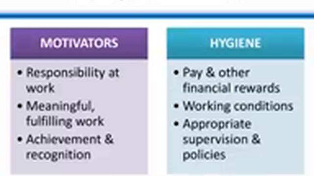 Business Management (Two factor motivation theory by Professor Frederick Herzberg) смотреть онлайн
