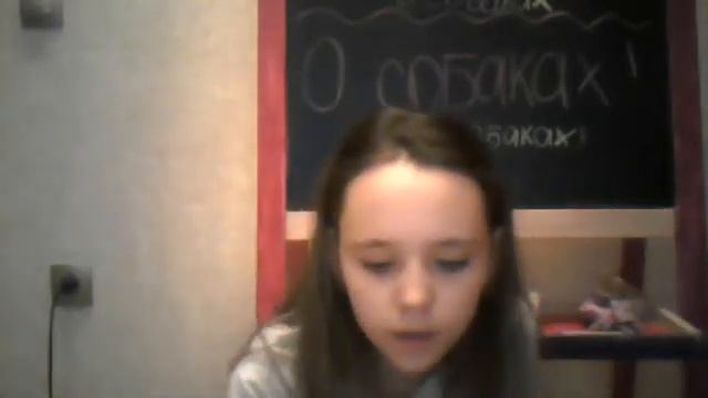 о  собаках2