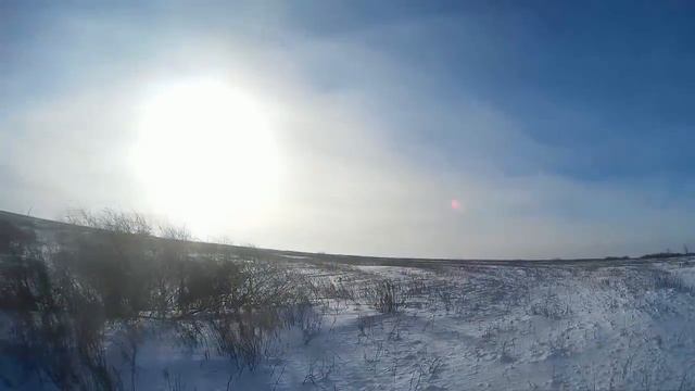 охота на зайца (9), 25 12 2016