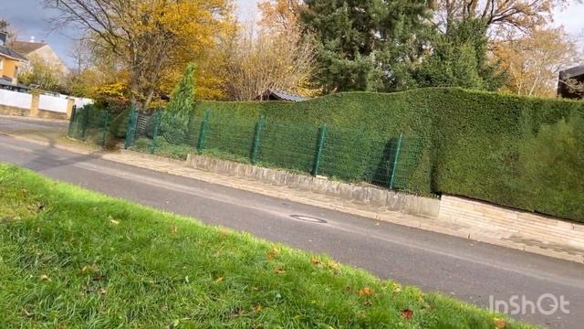 Гуляю с питомцами 🐕🐕🦺Пуховик от Cos Ужин у собачек 🦴 смотреть онлайн