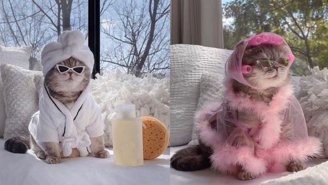 Online Shop/Business 💳