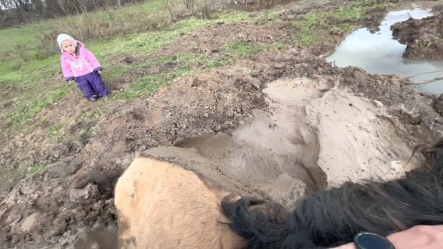 Очередное спасение нашей Башкирской лошади/ Разведение лошадей как бизнес/ Башкирская порода лошадей смотреть онлайн