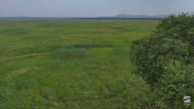 Skydio 2 FPV? смотреть онлайн