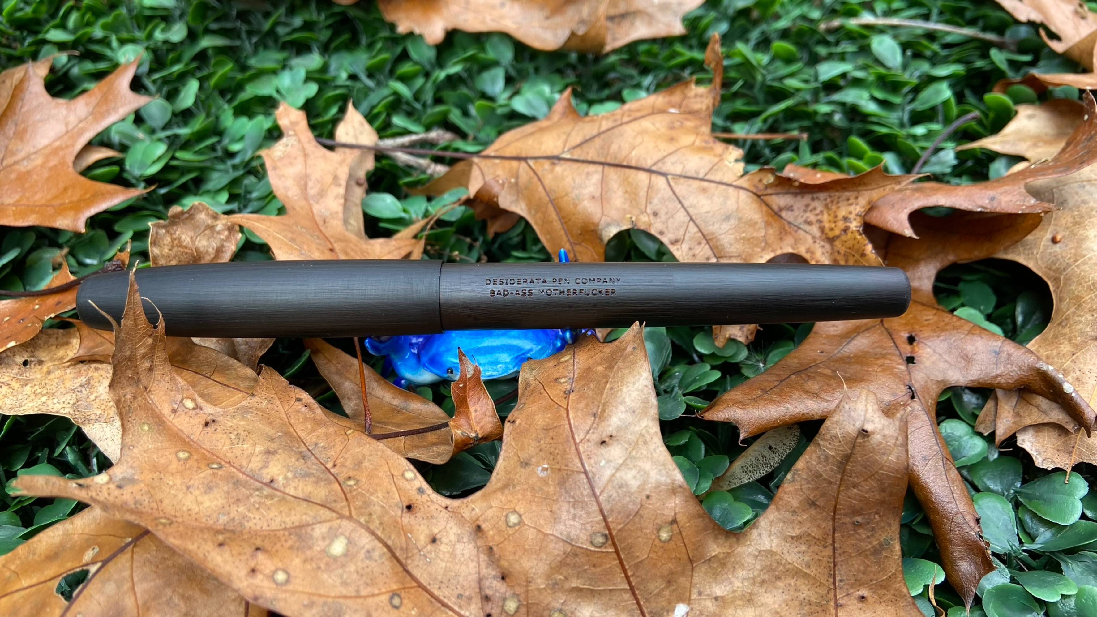 Перьевая ручка Desiderata BAMF с пером Zebra G смотреть онлайн