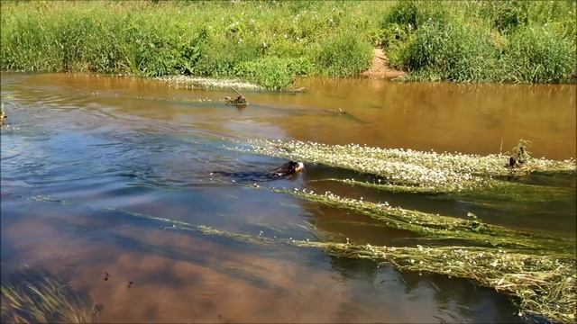 Водный мир 3