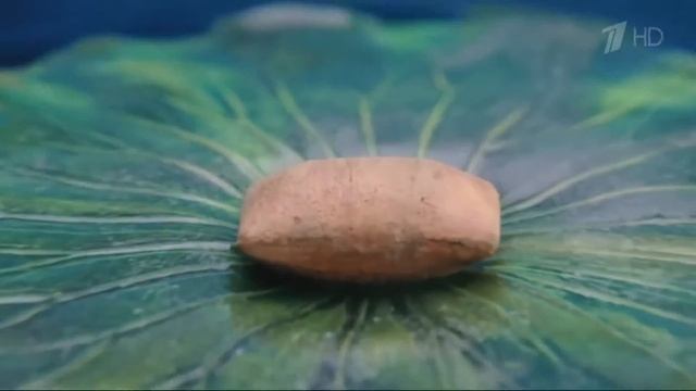 Аdvertising  Реклама Dreamies   Дримис   Кот за них на всё готов!