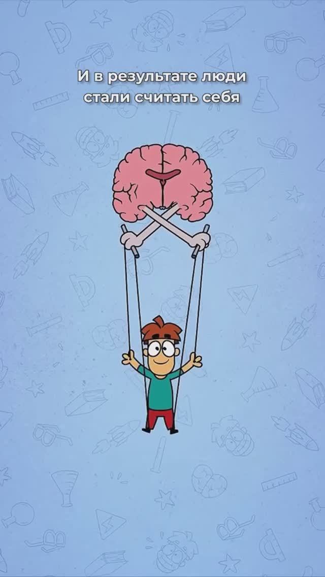 Пифагоровы штаны смотреть онлайн