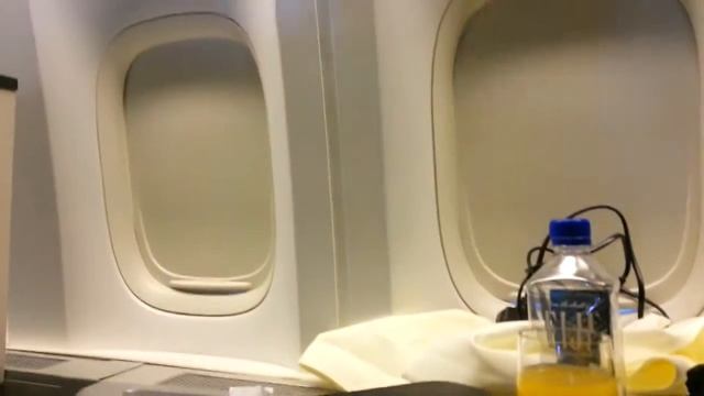 Eva air business class Royal laurel смотреть онлайн