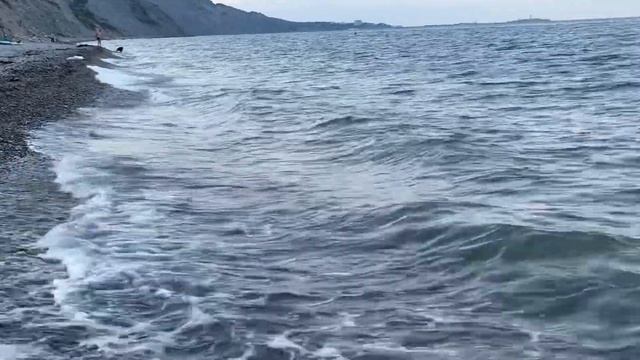 Утро кадебошек Бриджит и Ксюни 🔥