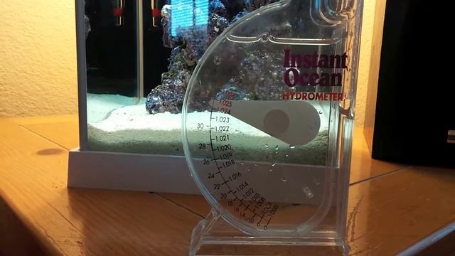 How to setup a Pico Reef Tank - Fluval SPEC 3 - Day 5 update - Cycling begins смотреть онлайн
