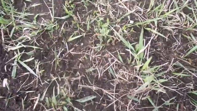 КОП. РАЗВЕДКА НОВЫХ МЕСТ И НАХОДКИ смотреть онлайн