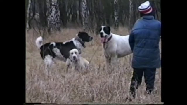 Амга воспитывает Алшу смотреть онлайн