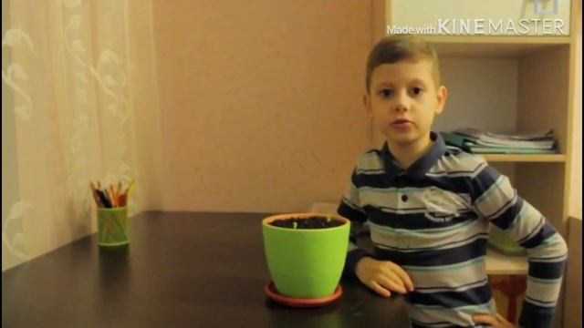 Как вырастить огурцы за 20 дней смотреть онлайн