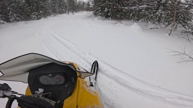 29.01.2025 г. BRP SKI-DOO TUNDRA 550LT/Лес/Леп/Сахалин/Часть 1/