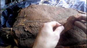 Табак Берли 5% никотина, Обзор.