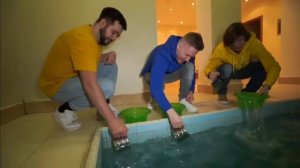 ну короче Поззи или IQ