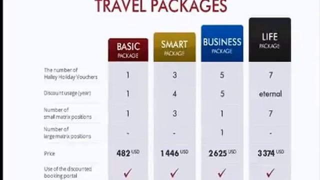 Swiss Halley business presentation Презентация на английском смотреть онлайн