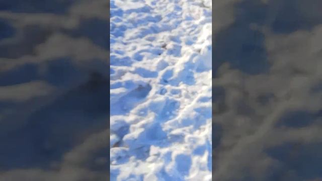 взрываем петарду виде гранаты 🫨 смотреть онлайн