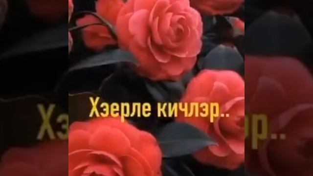 хәерле кич дуслар смотреть онлайн