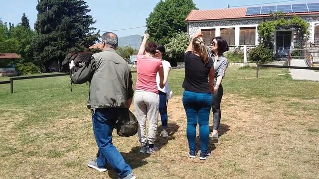 В парке хищных птиц. Греция. смотреть онлайн