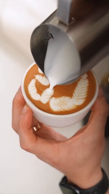 World Latte Art Champion SCHOOLS me! смотреть онлайн