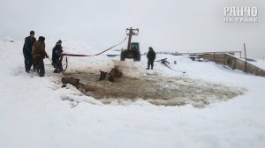 Спасаем Лошадей из Ледяной ловушки/Жизнь в Деревне/Ранчо на Урале