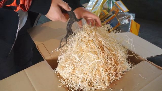 SERA AQUASCAPING CHALLENGE | UNBOXING OUR TANK | Scapingsteevo