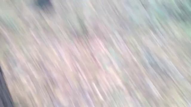 Выживание в лесу с Валерой. Проверка на прочность. смотреть онлайн
