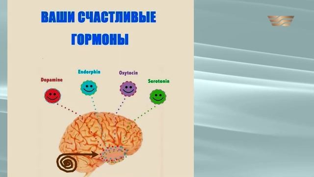 Что почитать во время карантина? (5) Камила Толибаева, художественный обозреватель. «Пища для ума»