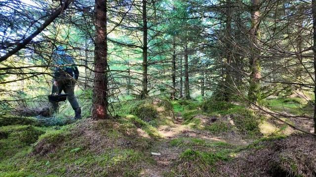 АСМР ГОТОВКА ЕДЫ НА ПРИРОДЕ смотреть онлайн