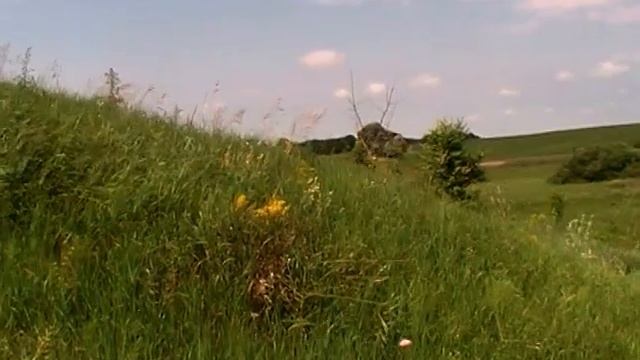 свои родные милые места смотреть онлайн